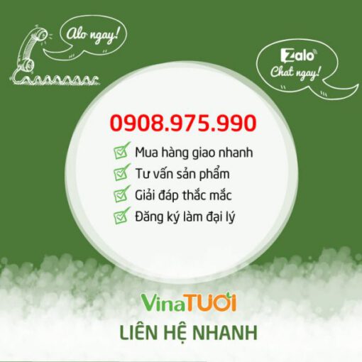 Tinh dầu sả chanh nguyên chất giao hàng toàn quốc