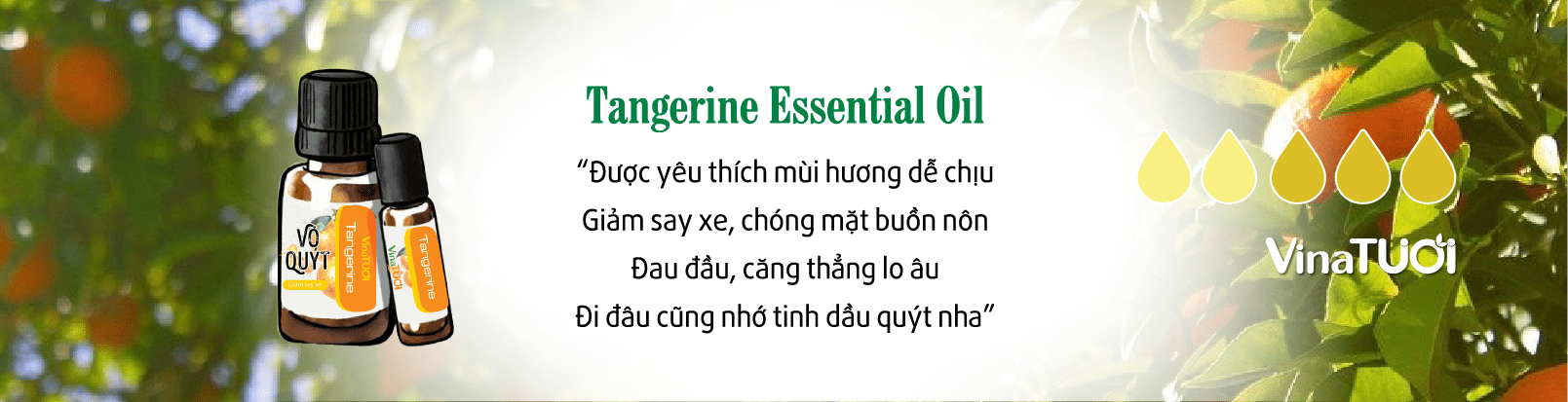 Công dụng tinh dầu vỏ quýt