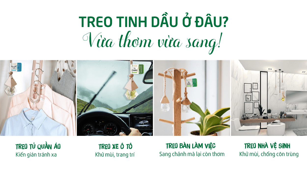 Treo tinh dầu ở đâu