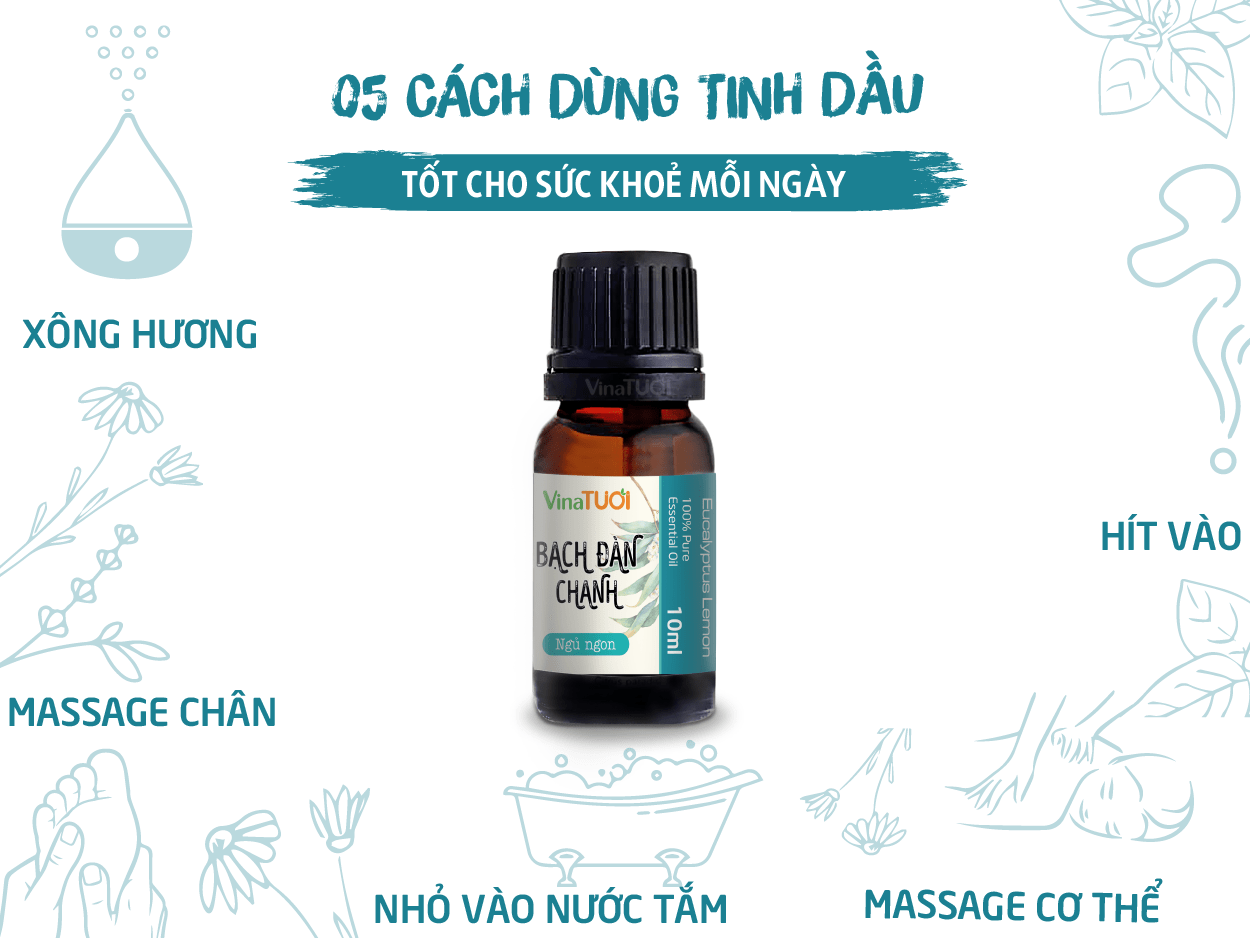 05 Cách dùng Tinh dầu bạch đàn chanh