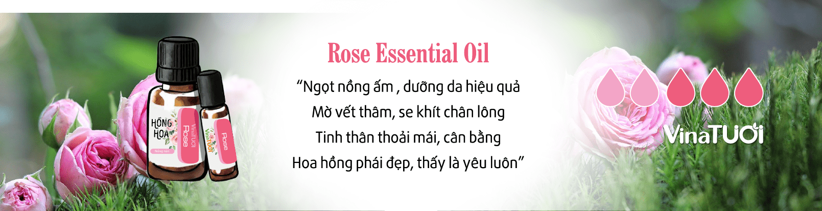 Công dụng của Tinh dầu hoa hồng