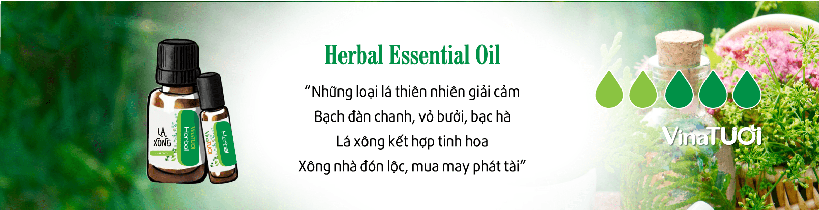 Công dụng của tinh dầu lá xông