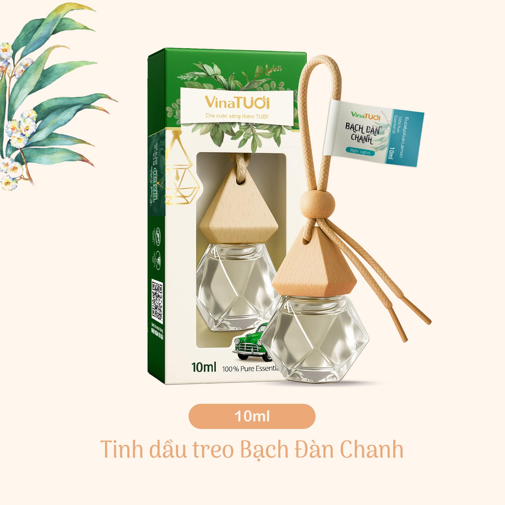 Hương thơm Bạch Đàn Chanh