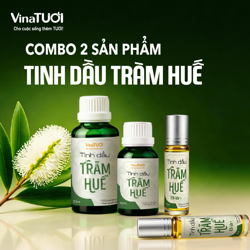 Combo tinh dầu tràm Huế Vina Tươi gồm chai 50ml và bi lăn 10ml tiện dụng tiết kiệm