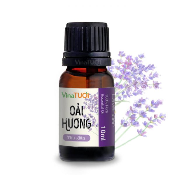 tinh dầu oải hương