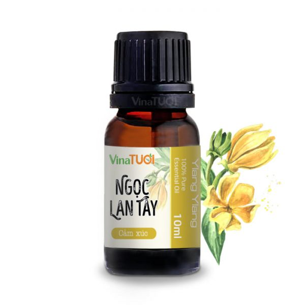 tinh dầu ngọc lan tây