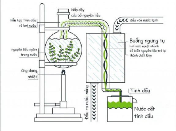 phương pháp sản xuất tinh dầu