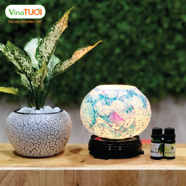công dụng của tinh dầu