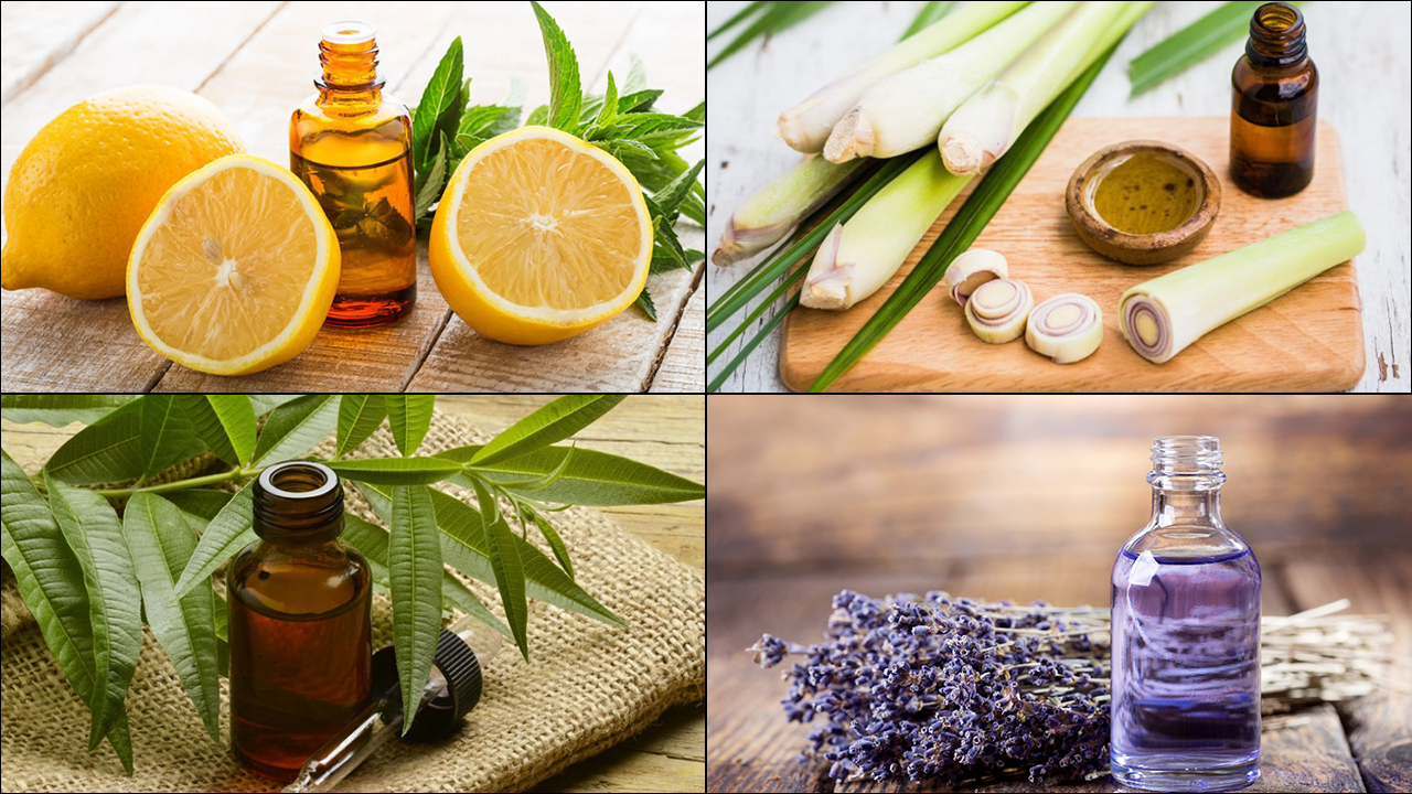 10 loại tinh dầu xịt thơm phòng được nhiều chị em lựa chọn - Vina Tươi -  Cho cuộc sống thêm Tươi