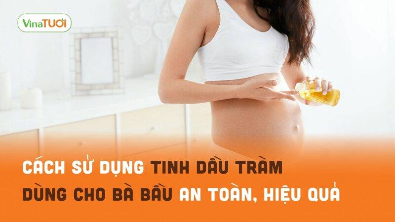 10+ Cách sử dụng tinh dầu tràm dùng cho bà bầu an toàn