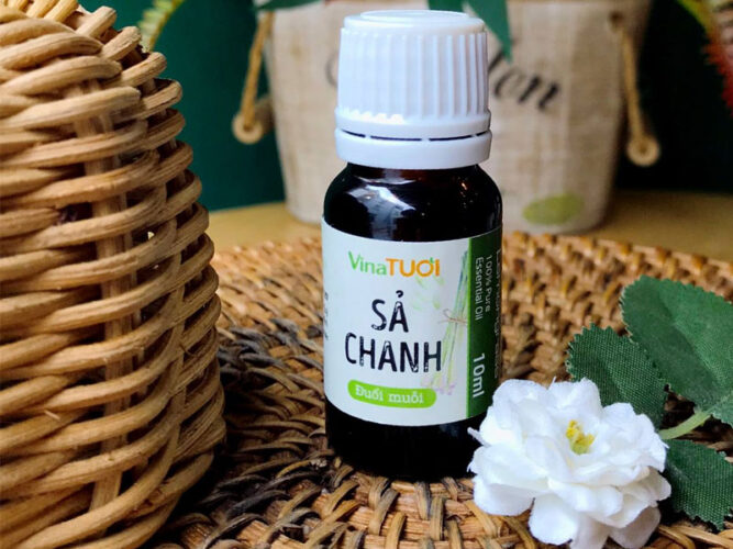 Khi chọn mua tinh dầu bạn cần chọn nơi bán đảm bảo tinh dầu nguyên chất