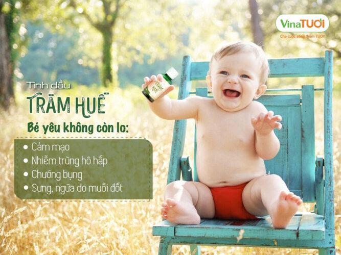 7 Cách sử dụng tinh dầu tràm mẹ và bé hiệu quả