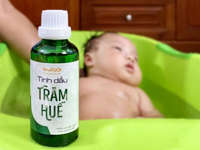 Sử dụng tinh dầu tràm cho trẻ sơ sinh sao cho an toàn?