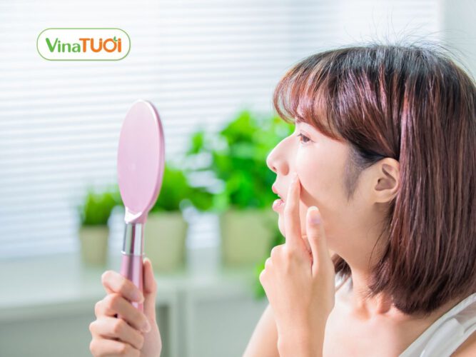 Tinh dầu tràm trà có tác dụng dưỡng ẩm và giúp làm mờ sẹo một cách tuyệt vời.