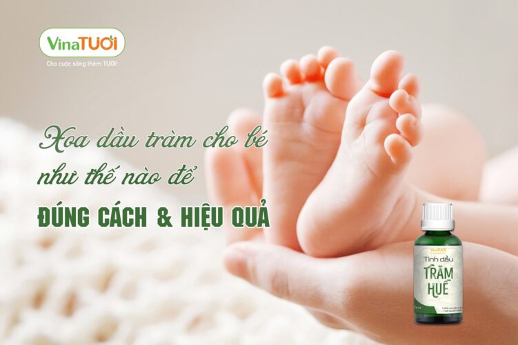 Cách trị nghẹt mũi cho trẻ sơ sinh với tinh dầu tràm