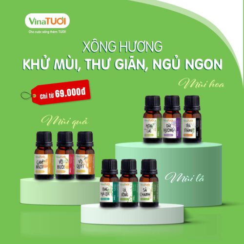 Hiện nay có rất nhiều loại tinh dầu xông mặt mang lại nhiều công dụng khác nhau