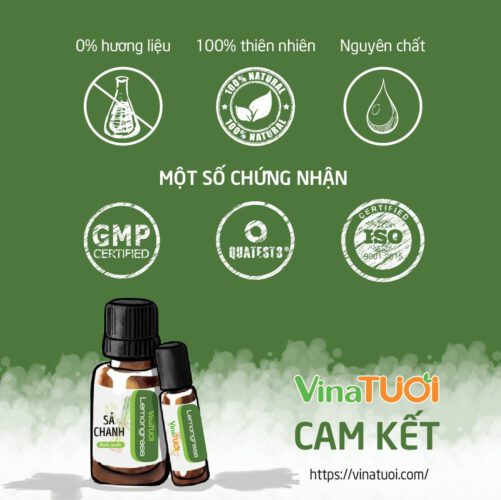 Tinh dầu sả chanh xông mặt