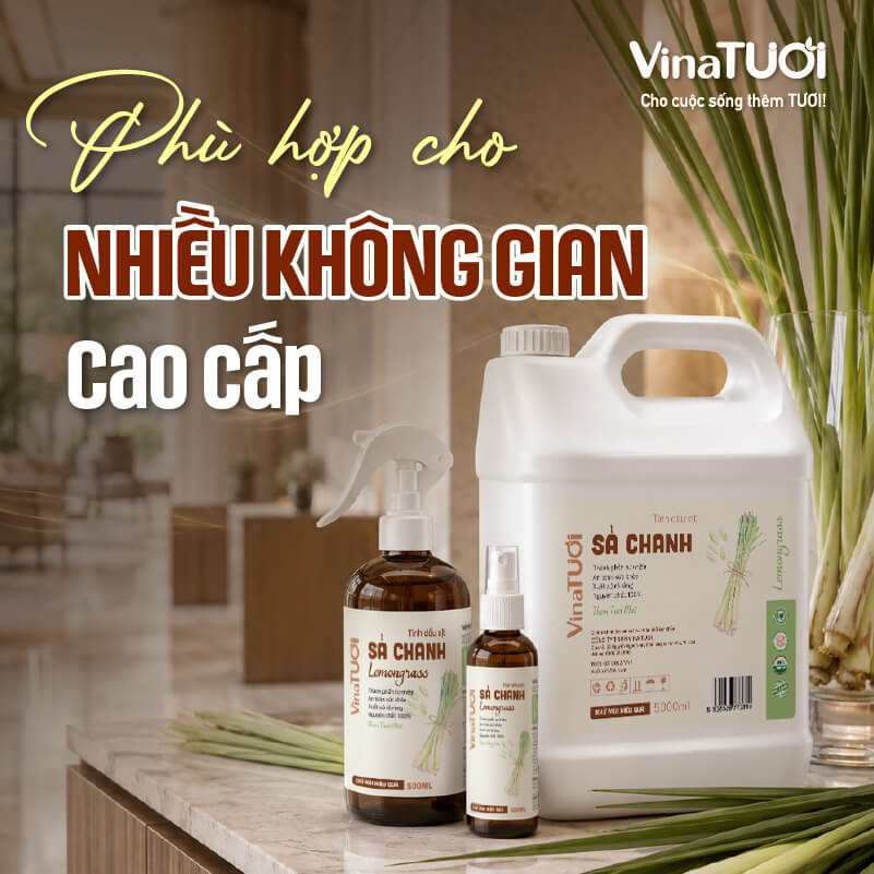 Mùi sả chanh phù hợp với nhiều không gian nhà hàng khách sạn