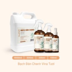 Xịt phòng tinh dầu bạch đàn chanh