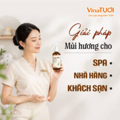 Giải pháp mùi hương trà trắng cho nhà hàng khách sạn spa cao cấp