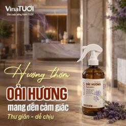 Mùi oải hương tạo cảm giác thư giãn cho không gian dịch vụ