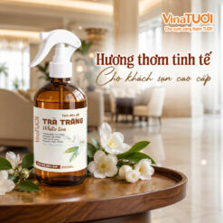 Xịt phòng tinh dầu trà trắng hương thơm tinh tế cho khách sạn cao cấp