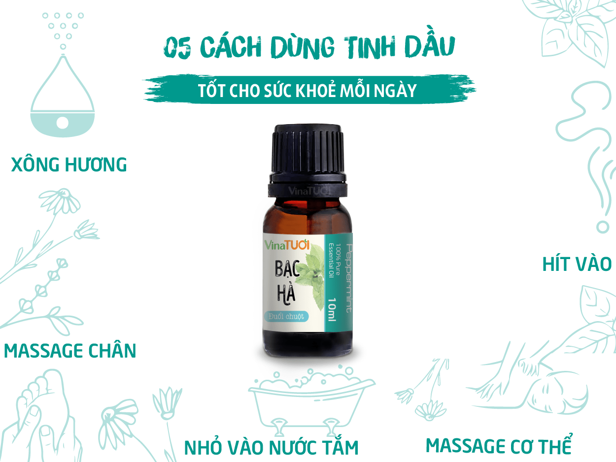 Cách dùng tinh dầu bạc hà