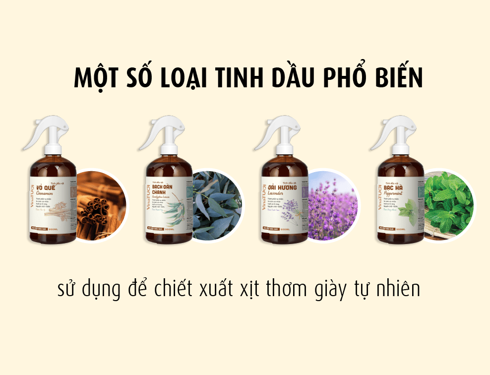 Các loại tinh dầu xịt thơm giày phổ biến trên thị trường