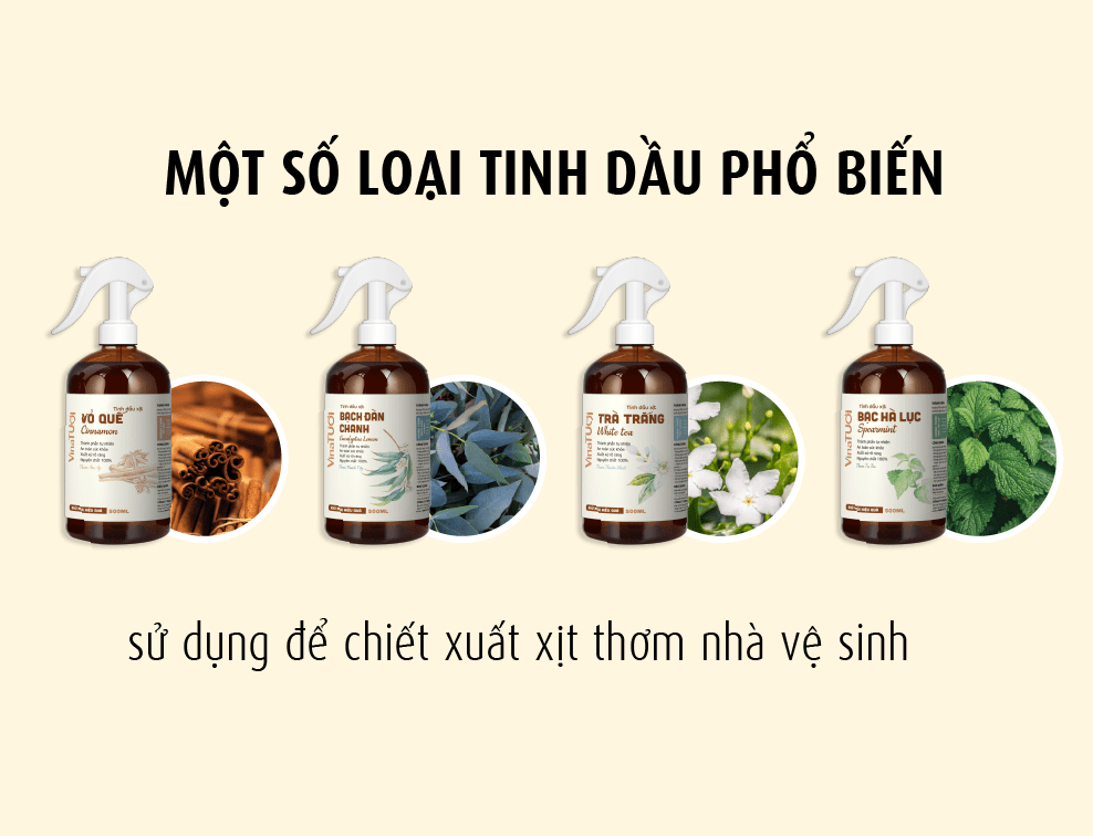 Một số loại tinh dầu sử dụng dể chiết xuất xịt thơm nhà vệ sinh