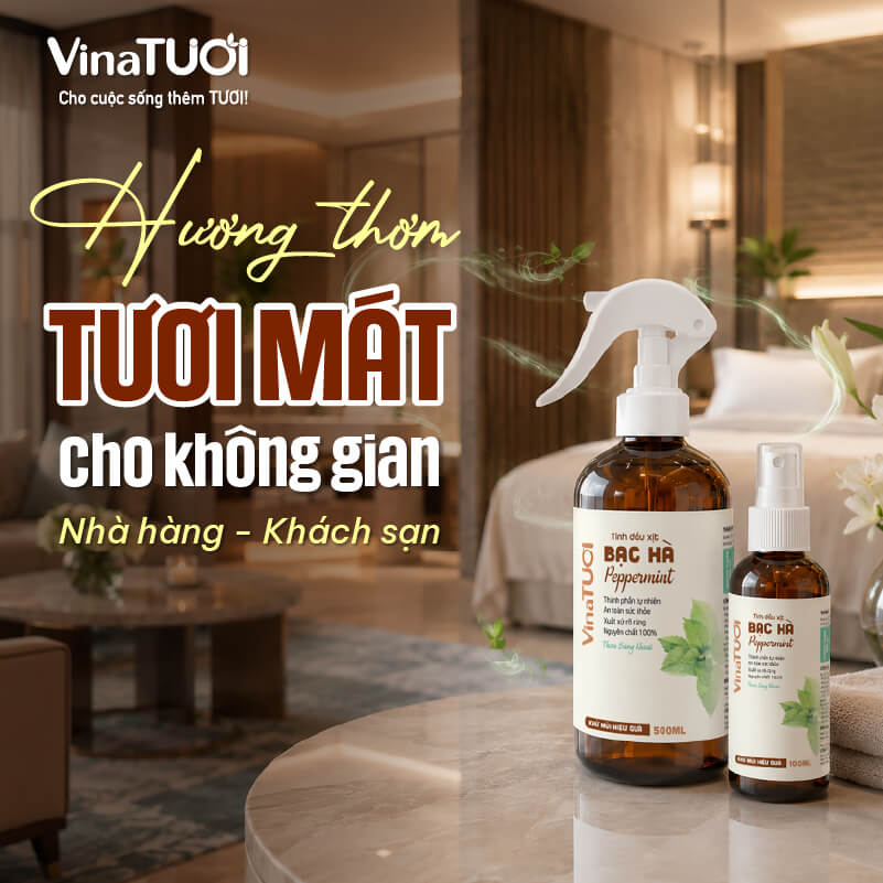 Hương tươi mát giúp không gian nhà hàng khách sạn dễ chịu và thư giãn