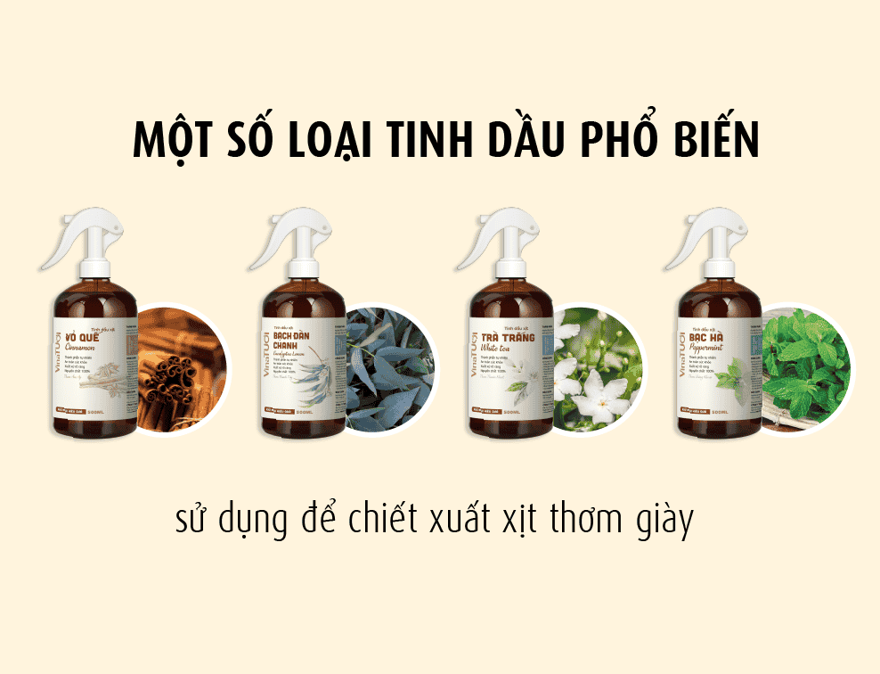 Một số loại tinh dầu phổ biến chiết xuất xịt thơm giày