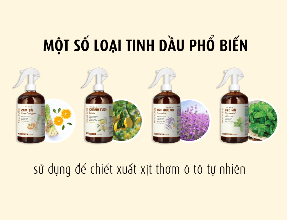 Một số loại tinh dầu phổ biến sử dụng để chiết suất xịt thơm ô tô tự nhiên