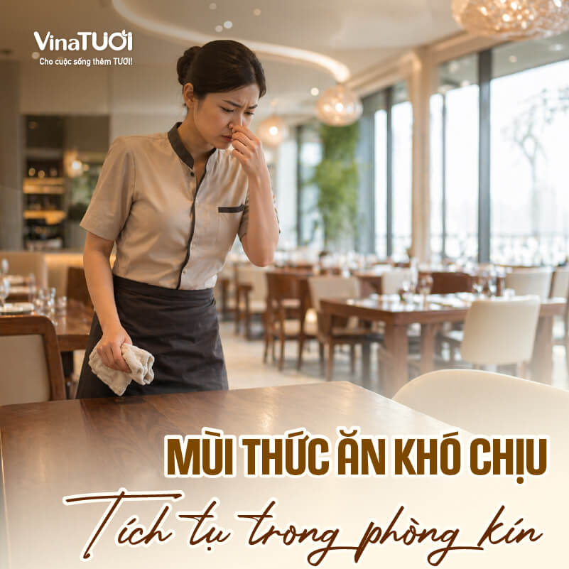 Mùi thức ăn bám trong phòng kín trên sofa rèm cửa gây khó chịu sau bữa ăn