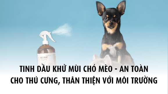 Tinh dầu khử mùi chó mèo - An toàn cho thú cưng, thân thiện với môi trường