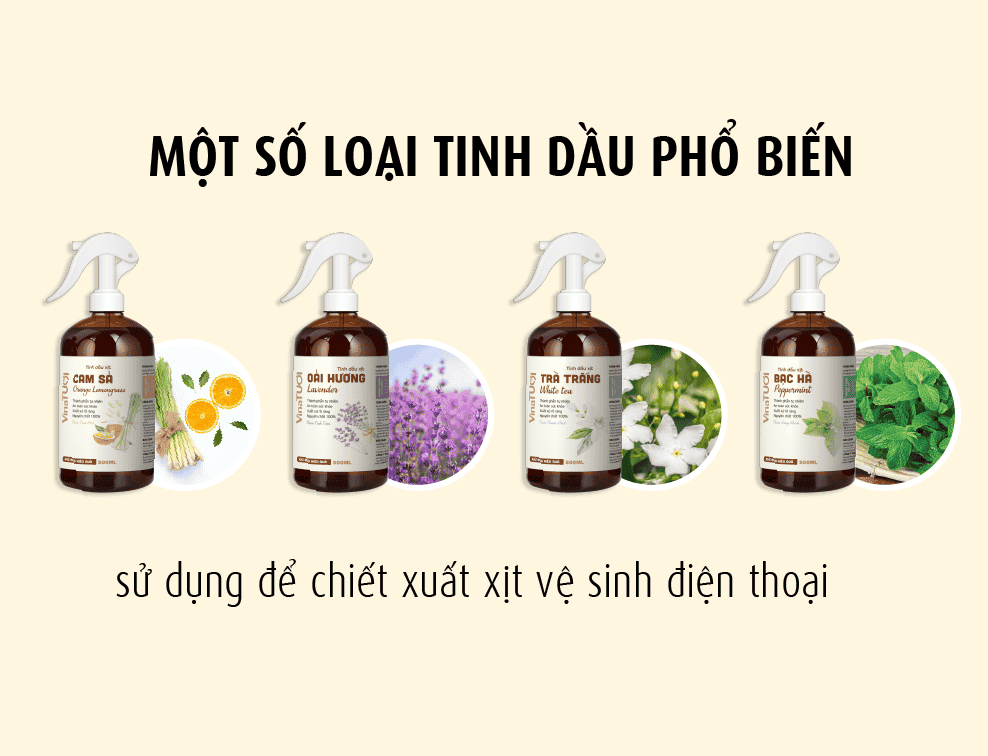 Một số loại tinh dầu sử dụng dể chiết xuất xịt vệ sinh điện thoại