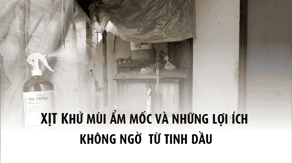 Xịt khử mùi ẩm mốc và những lợi ích không ngờ