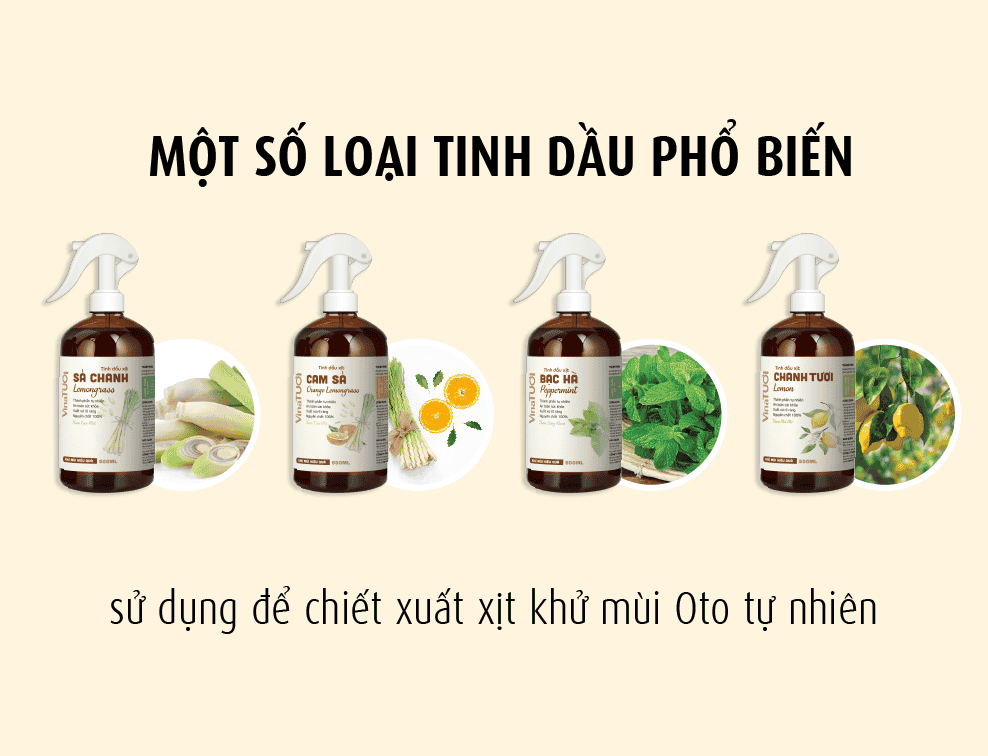 Các loại tinh dầu được sử dụng phổ biến làm xịt khử mùi ô tô