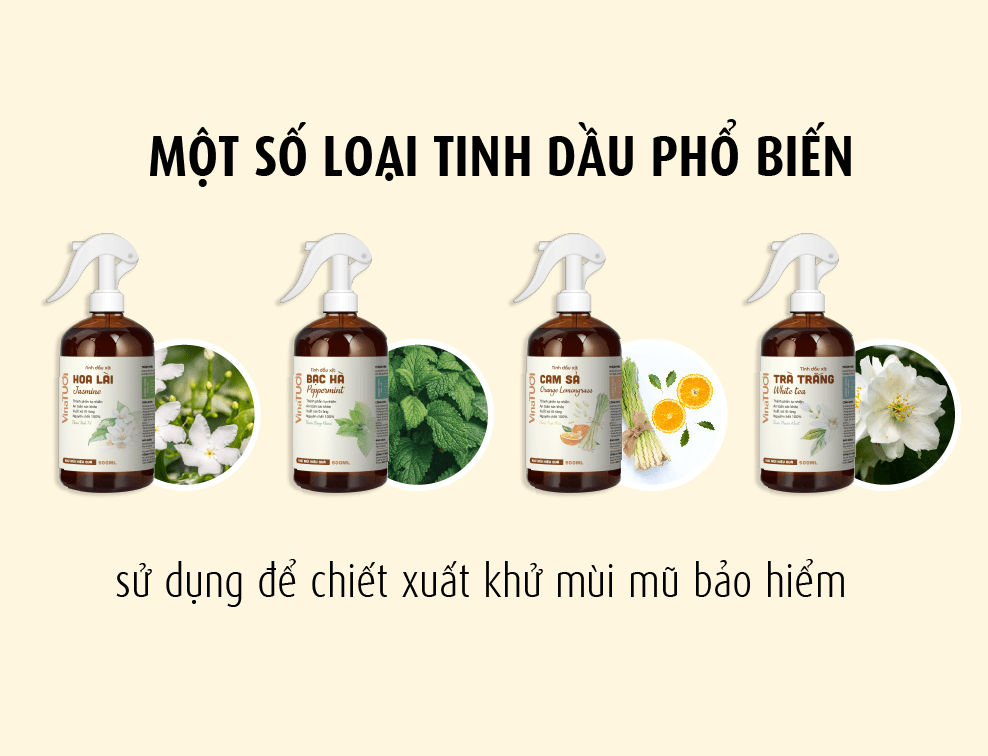 Lựa chọn một số loại tinh dầu phổ biến chiết xuất khử mùi mũ bảo hiểm