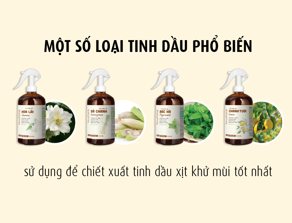 Một số loại tinh dầu phổ biến sử dụng để chiết xuất tinh dầu xịt khử mùi tốt nhất