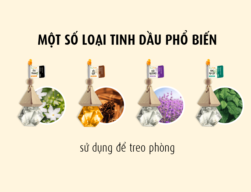 Một số loại tinh dầu phổ biến sử dụng để treo phòng