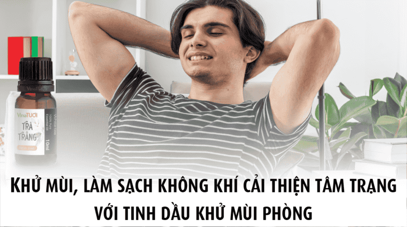 Tinh dầu khử mùi phòng: Giải pháp tự nhiên cho phòng thơm mát