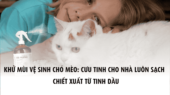 Xịt khử mùi vệ sinh chó mèo: Cứu tinh cho nhà luôn sạch sẽ