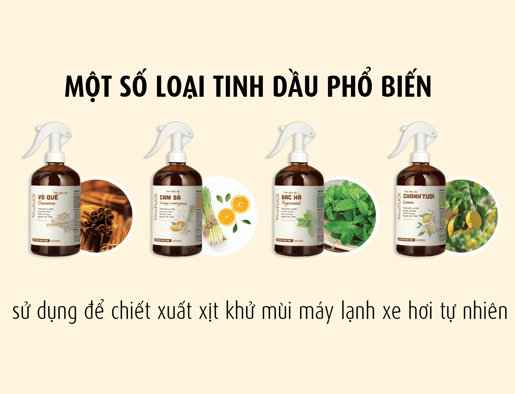 loại tinh dầu phù hợp cho chai xịt khử mùi máy lạnh xe hơi 