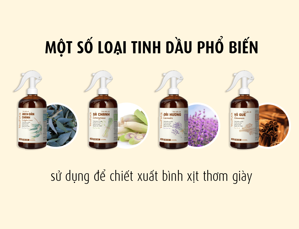 Một số loại tinh dầu phổ biến sử dụng để chiết xuất bình xịt thơm giày