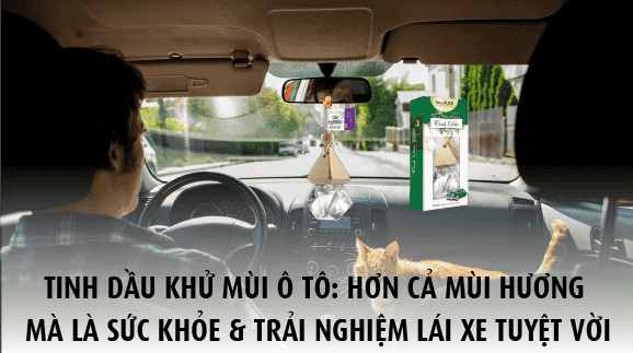 Tinh dầu khử mùi ô tô hơn cả mùi hương mà là sức khỏe và trải nghiệm lái xe tuyệt vời