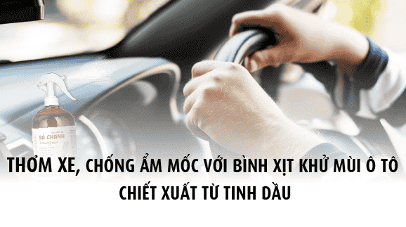 Bình xịt khử mùi ô tô: Giải pháp hiệu quả cho những chuyến đi dài