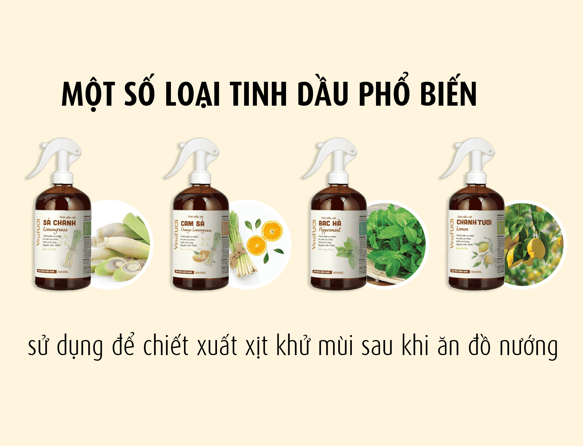 một số loại tinh dầu dùng đẻ chiết xuất xịt khử mùi sau khi ăn đồ nướng