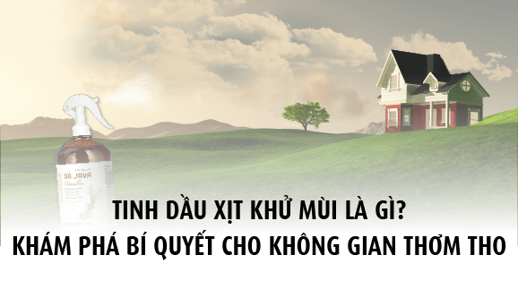 Tinh dầu xịt khử mùi là gì khám phá bí quyết cho không gian thơm tho