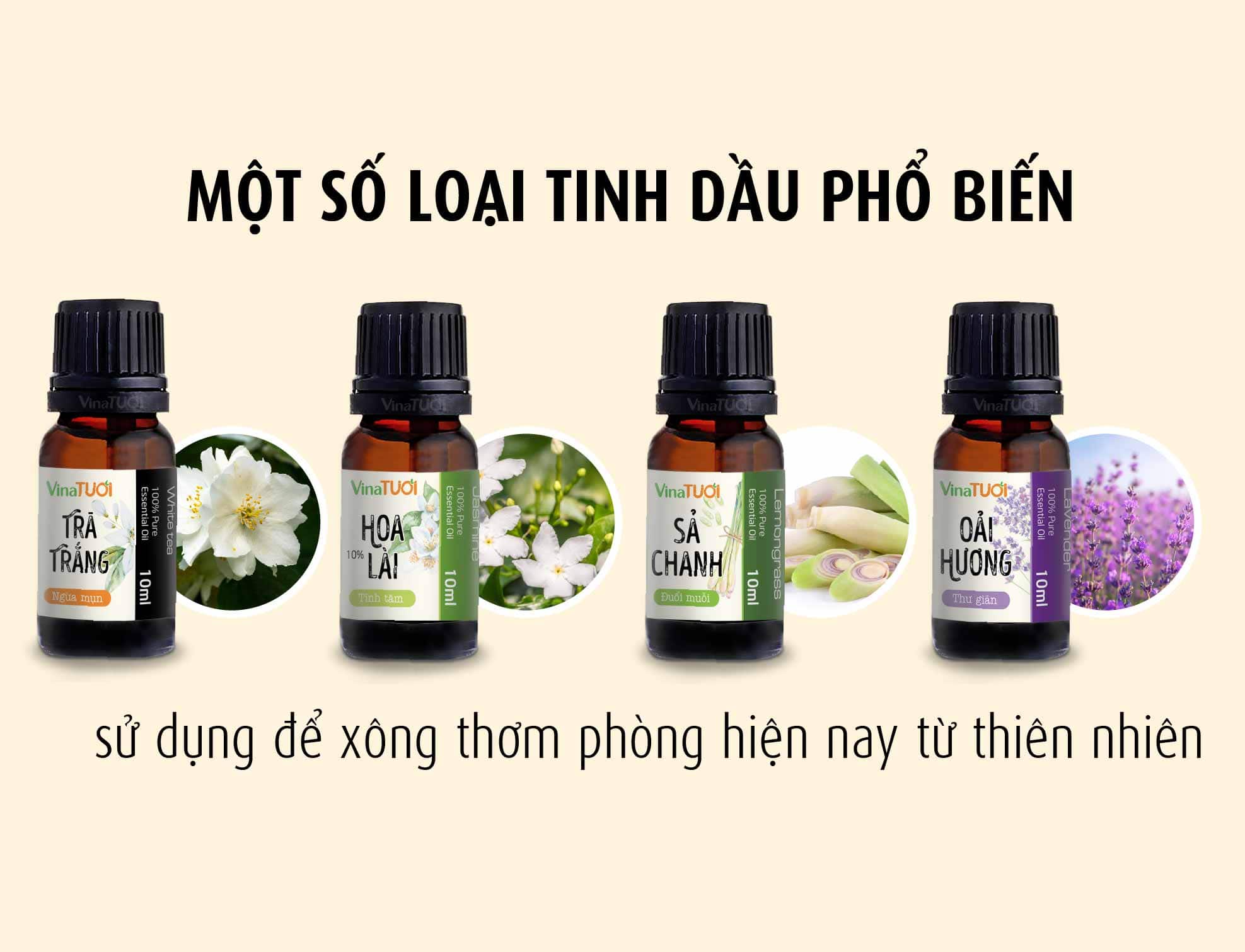 Một số loại tinh dầu phổ biến được yêu thích hiện nay