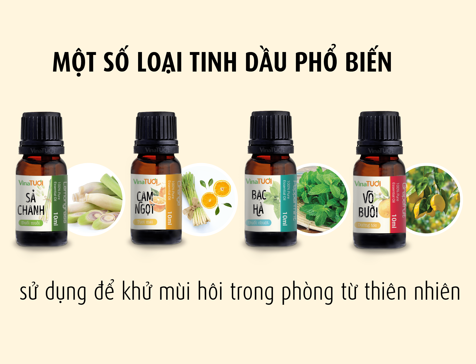 Các Loại Tinh Dầu Phổ Biến Để Khử Mùi Hôi